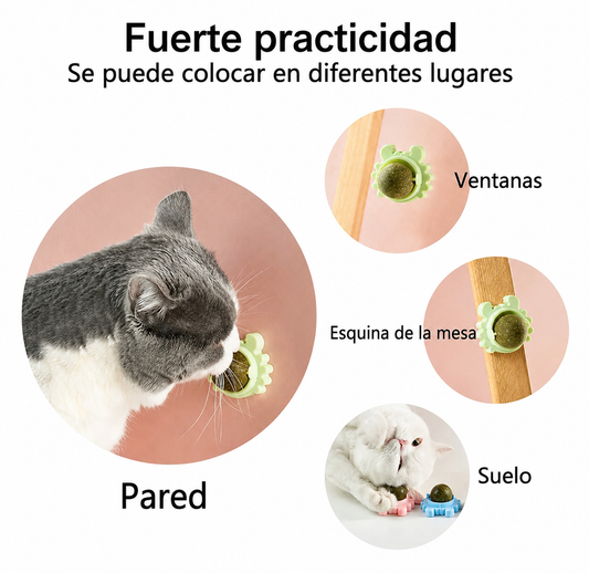 Kit x3 Juguete para gatos Catnip autoadhesivo